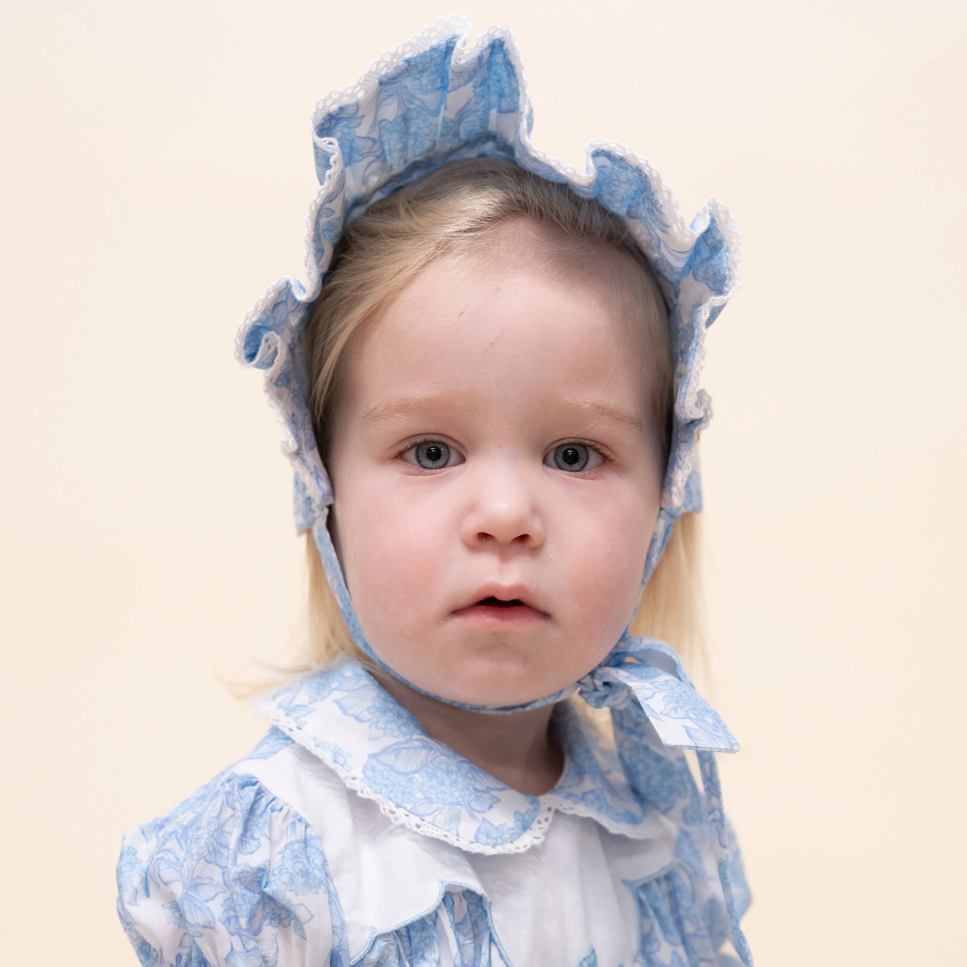 Hydrangea Bonnet